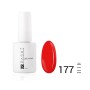 Цветной гель-лак PASHE №177 - "Чили", (9 мл) Цветной гель-лак PASHE №177 - "Чили", (9 мл)