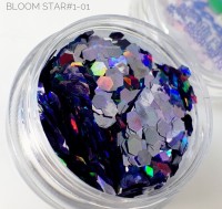 Блестки Bloom Star 1 #1