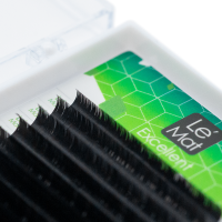 Ресницы черные Le Maitre "Excellent" 20 линий C+ 0.07 MIX 6-13 mm