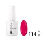 Цветной гель-лак PASHE №114 - "Дерзкая клубника", (9 мл) Цветной гель-лак PASHE №114 - "Дерзкая клубника", (9 мл)